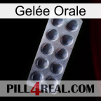 Gelée Orale 30